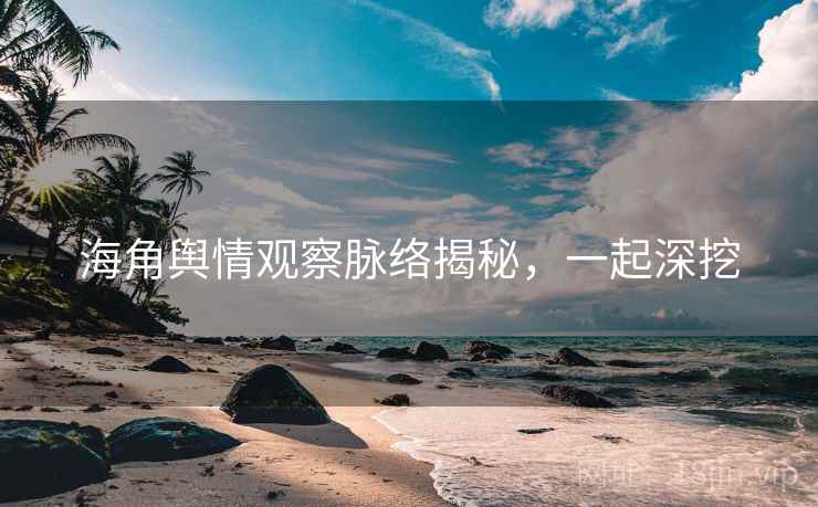 海角舆情观察脉络揭秘，一起深挖