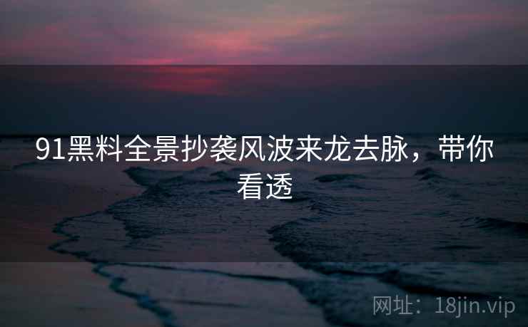 91黑料全景抄袭风波来龙去脉，带你看透