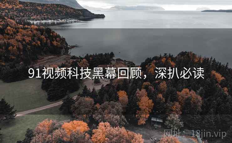 91视频科技黑幕回顾，深扒必读