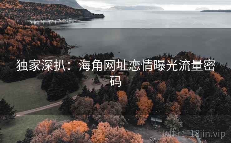 独家深扒：海角网址恋情曝光流量密码
